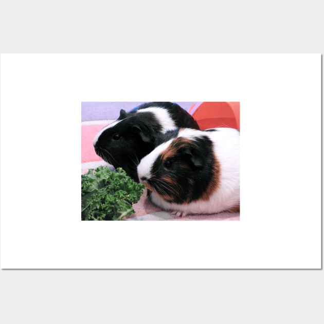 Guinea Pigs - Georgia & Twinkle Wall Art by kirstybush